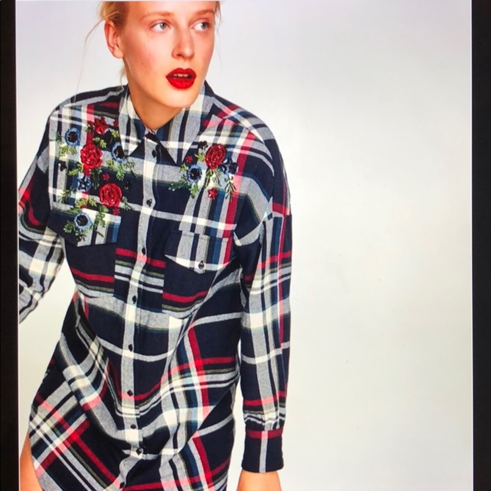 Zara Checked Shirt Dress With Embroidery